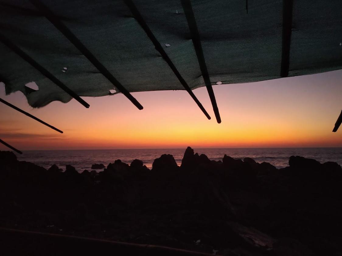 21Coconuts Inn Arambol Extérieur photo